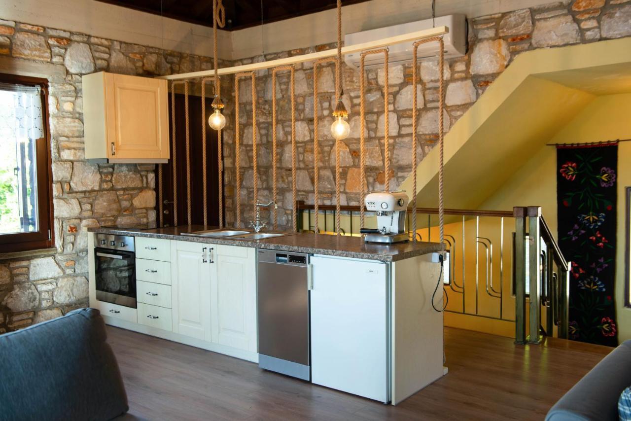 דמוצ'ארי Pelion Bnb Luxury Homes מראה חיצוני תמונה