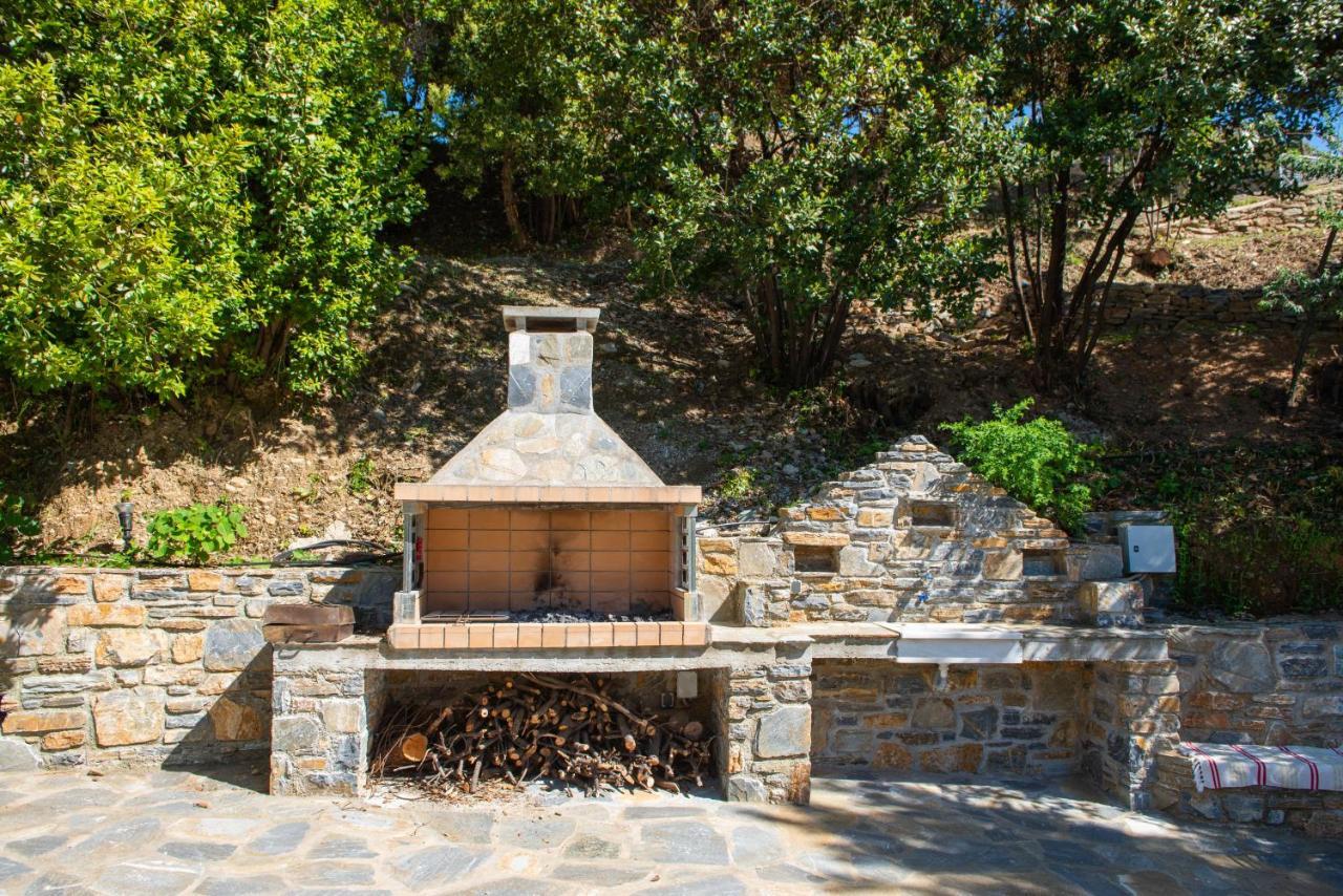 דמוצ'ארי Pelion Bnb Luxury Homes מראה חיצוני תמונה