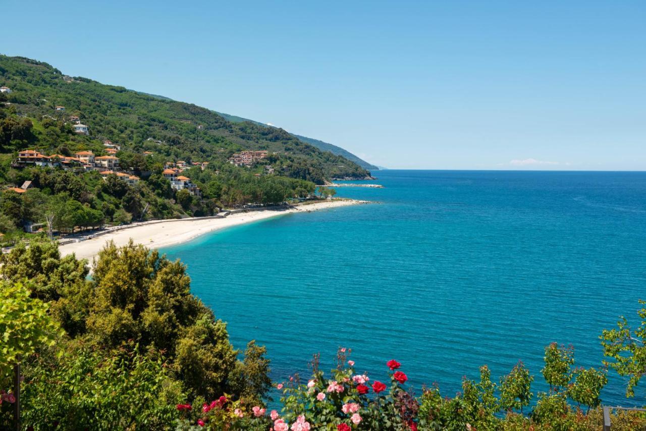 דמוצ'ארי Pelion Bnb Luxury Homes מראה חיצוני תמונה